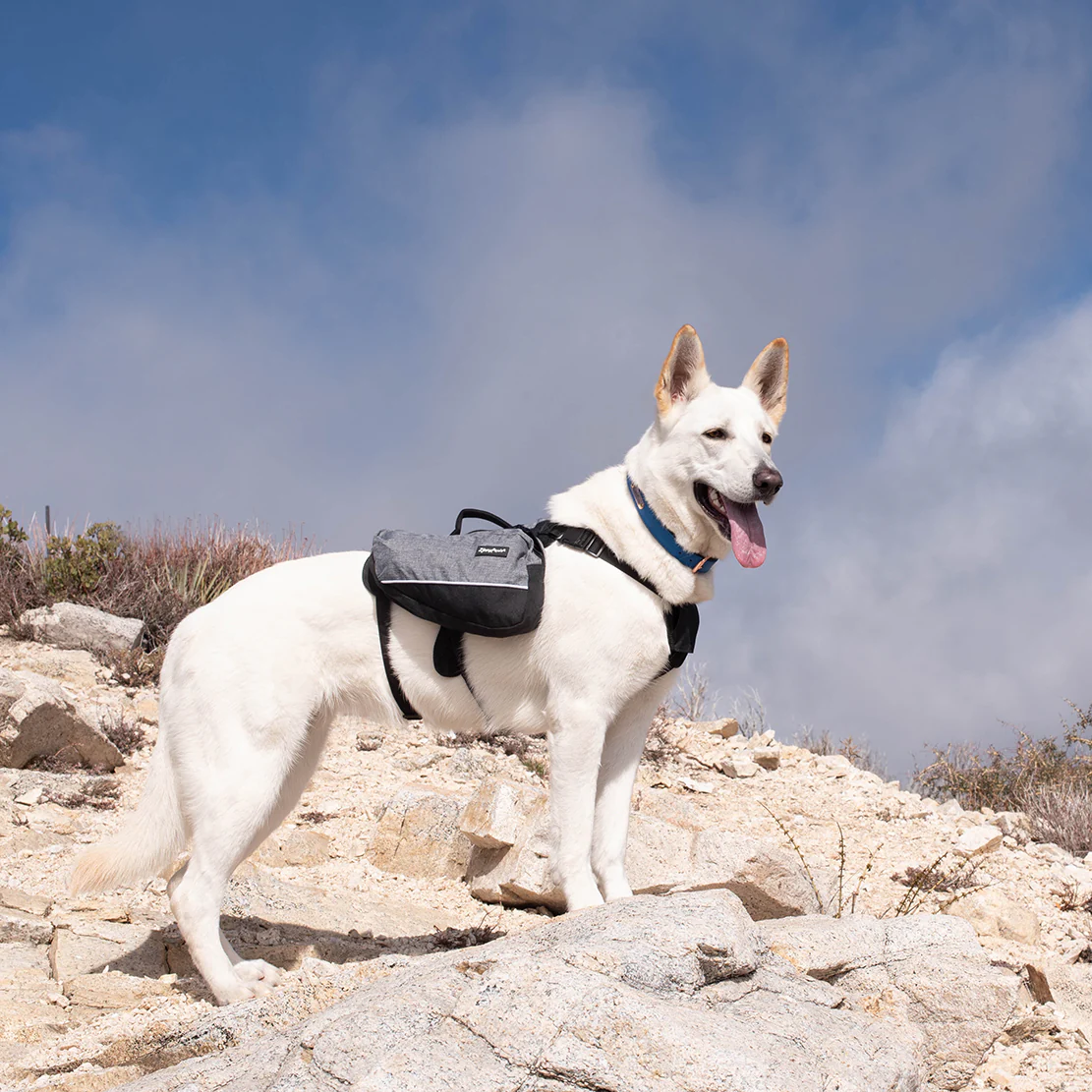 Zippy Paws Lightweight Adventure Backpack, Graphite - Pet's Shop