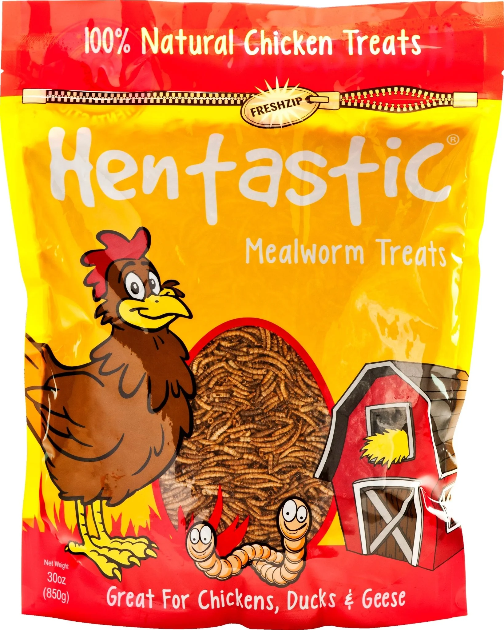 Hentastic Dried Mealworms - Pet's Shop