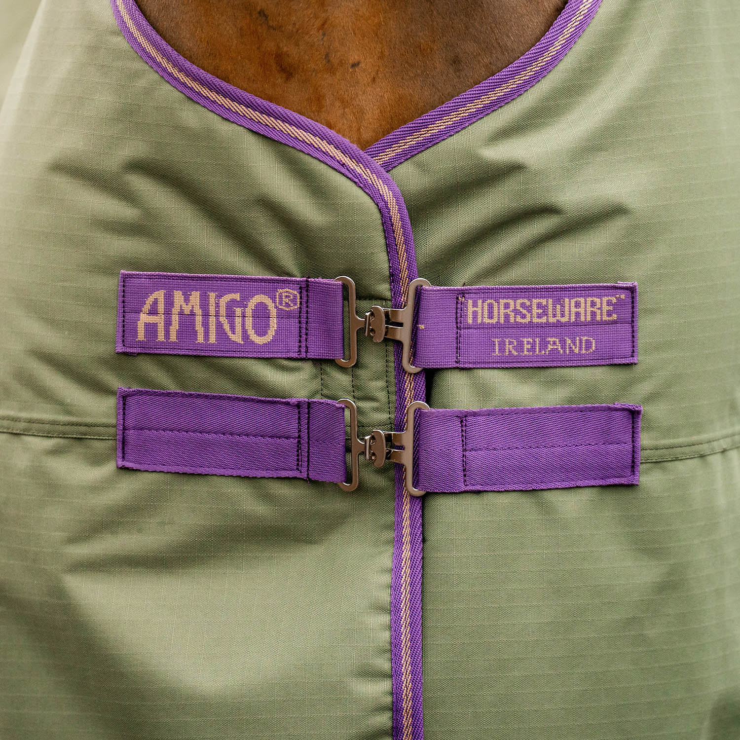 Amigo Hero Ripstop Turnout Sheet, Bramble/Winterberry - Pet's Shop