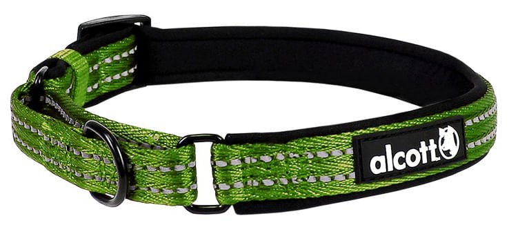 alcott Martingale Collar - Pet's Shop