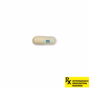Rx Gabapentin (Generic) Capsules for Dogs & Cats - Pet's Shop