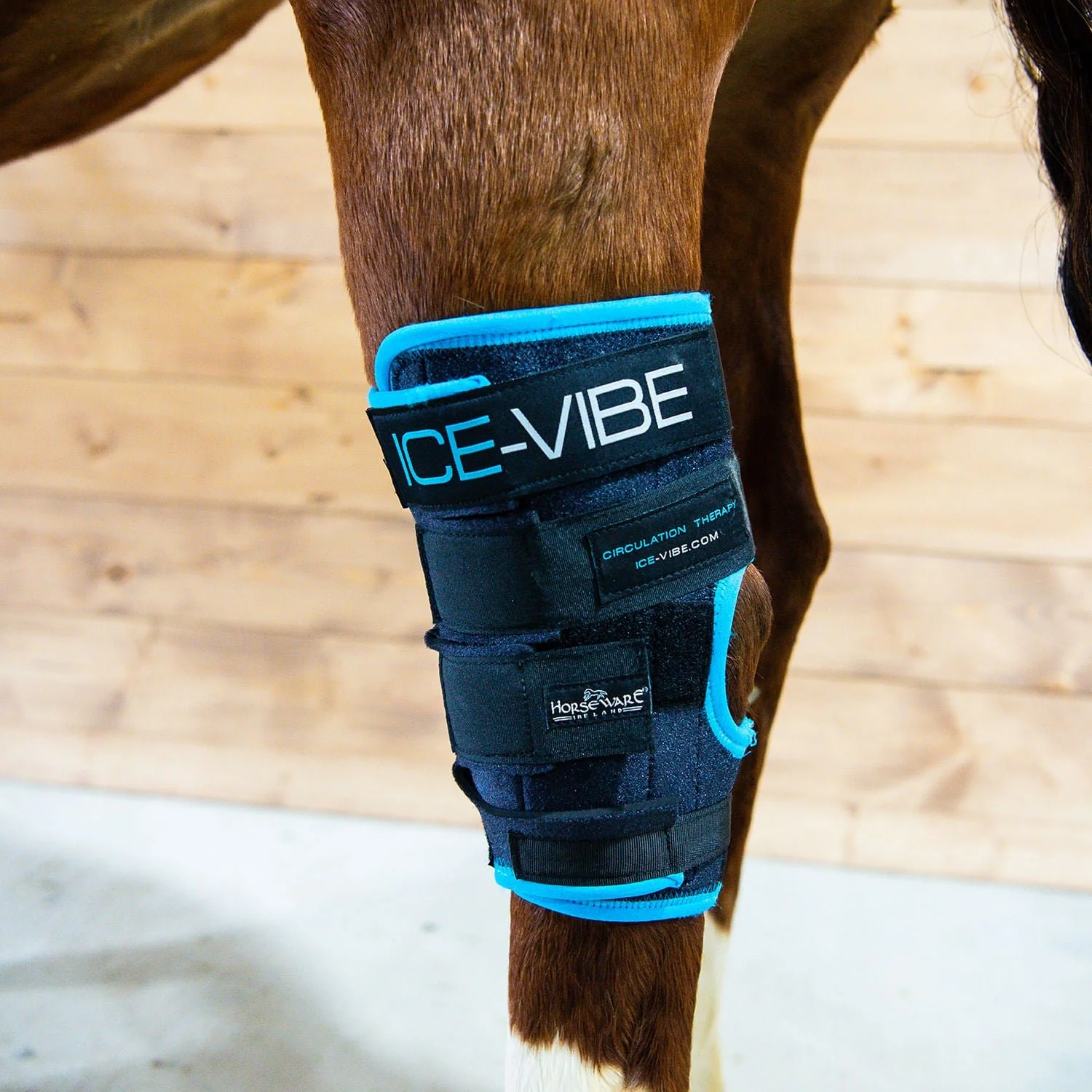 Ice Vibe Hock Wrap 8 Piece Horse Therapy Kit - Pet's Shop