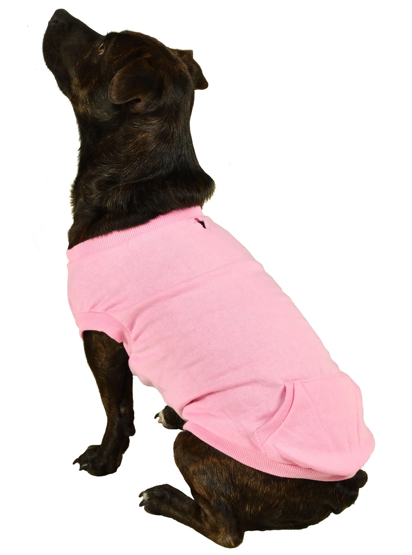 Activewear Sweatshirt - Pet's Shop