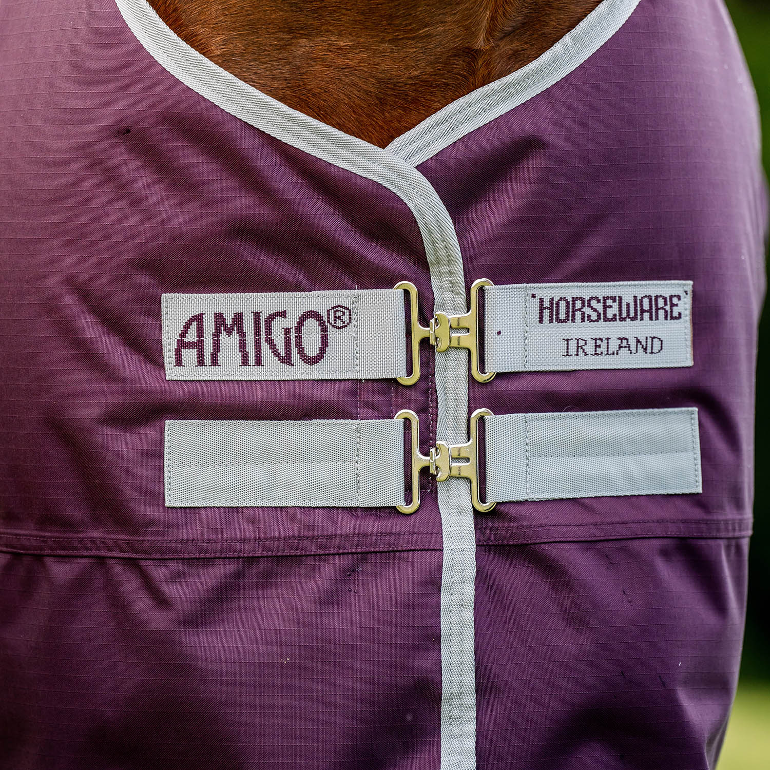 Amigo Hero Ripstop Turnout Blanket, 200 Gram, Fig/Silver - Pet's Shop