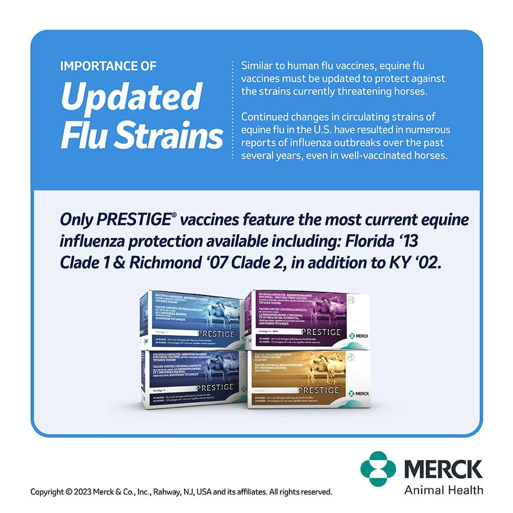 Prestige 4 - Pet's Shop