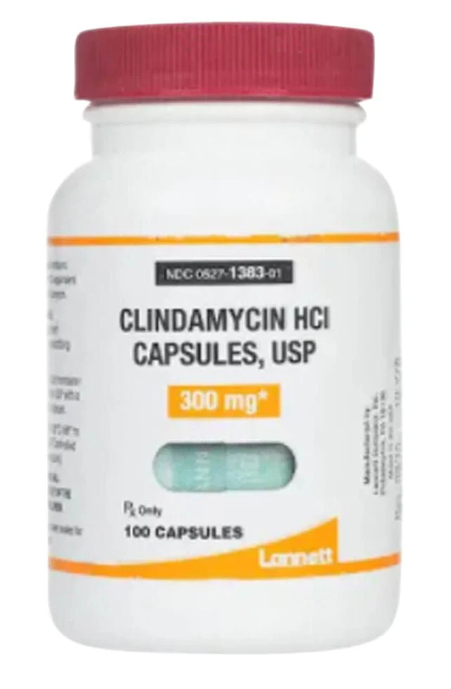 Rx Clindamycin HCl (Generic) Capsules for Dogs - Pet's Shop