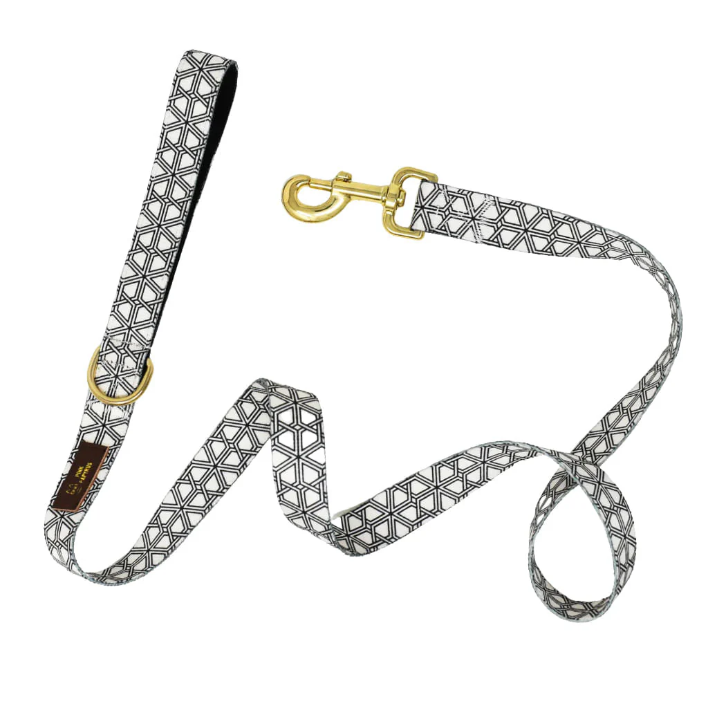 Pink Papyrus Avery Dog Leash, 6ft - Pet's Shop