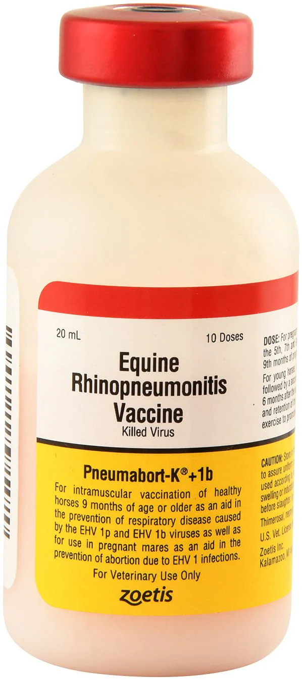Pneumabort K +1b Vaccine for Horses - Pet's Shop