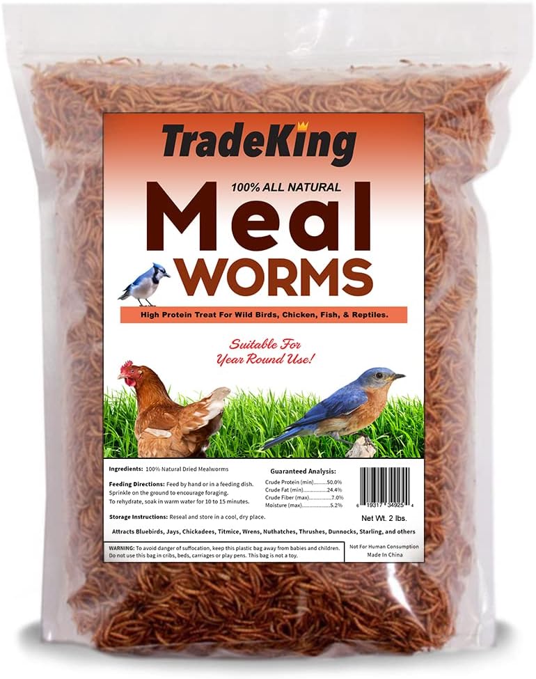 Dried Mealworms - Pet's Shop