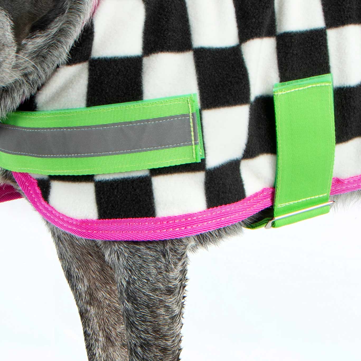 Expression Fleece Dog Coat, Skater Pup - Pet's Shop