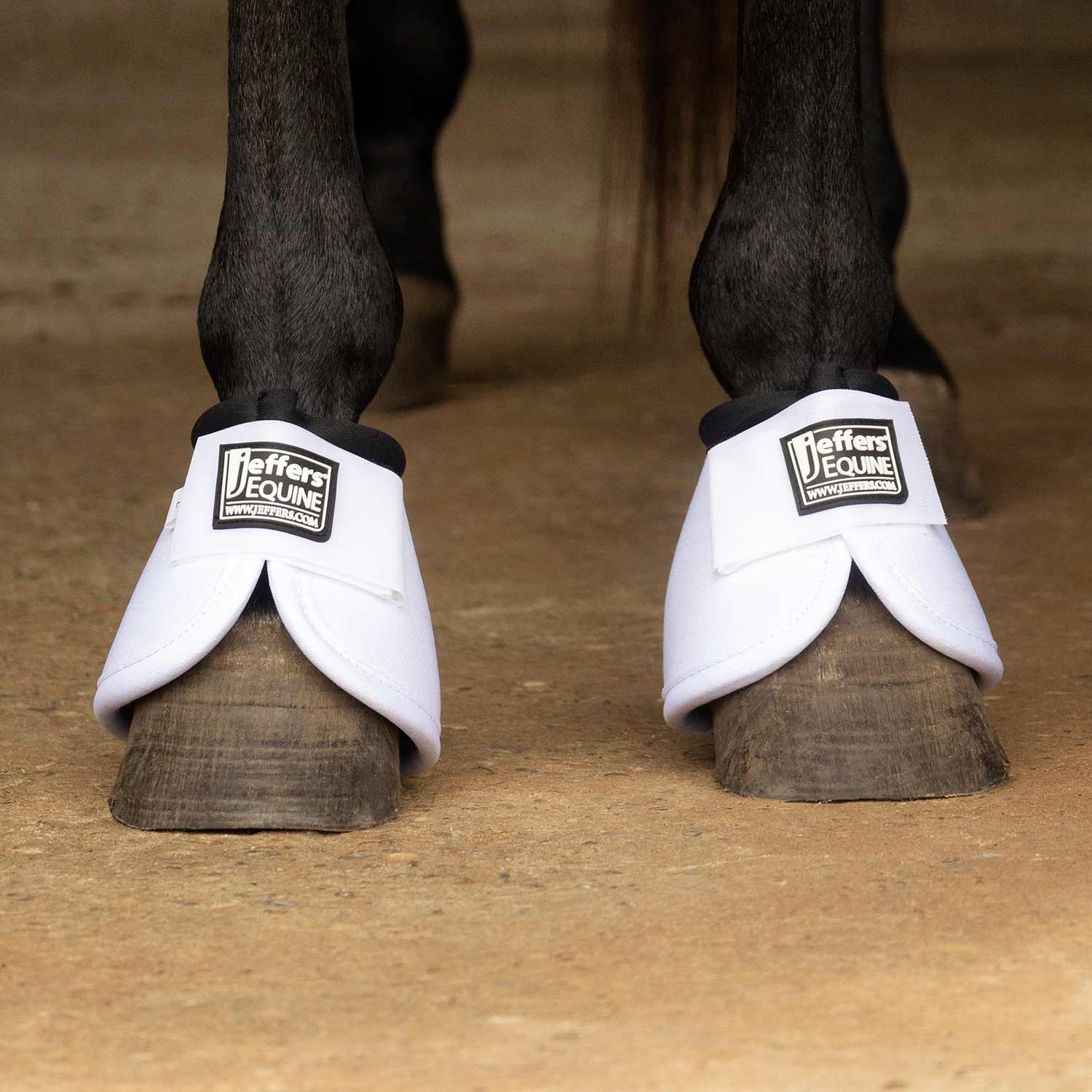 Bell Boots for Horses - Pet's Shop