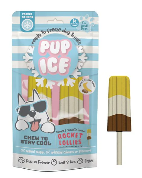 Pup Ice Rocket Lollies, 2pk - Pet's Shop