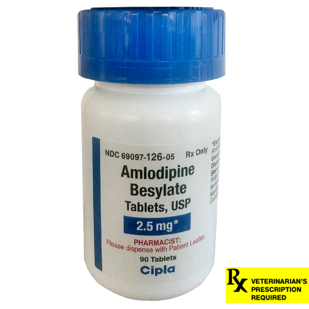 Rx Amlodipine Besylate Tablets for Dogs & Cats (Generic) - Pet's Shop