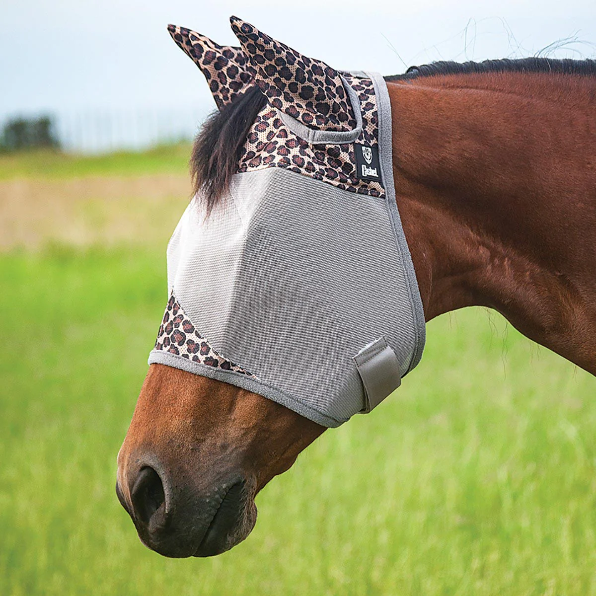 Crusader Fly Mask with Ears - Pet's Shop