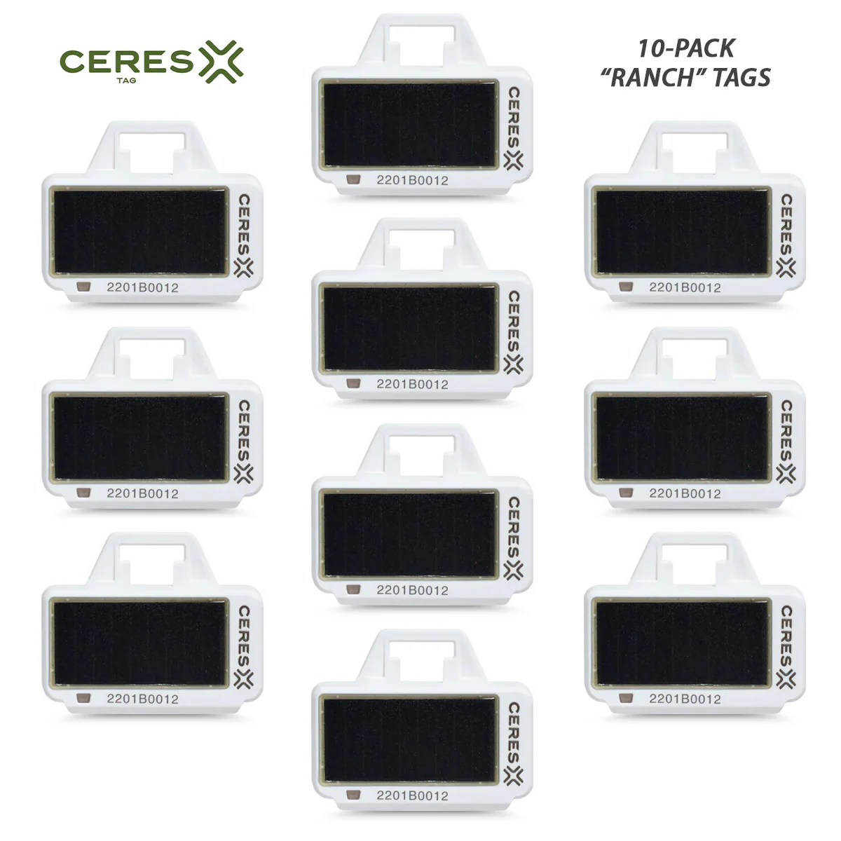 CERES RANCH PFI Identification Tags - Pet's Shop