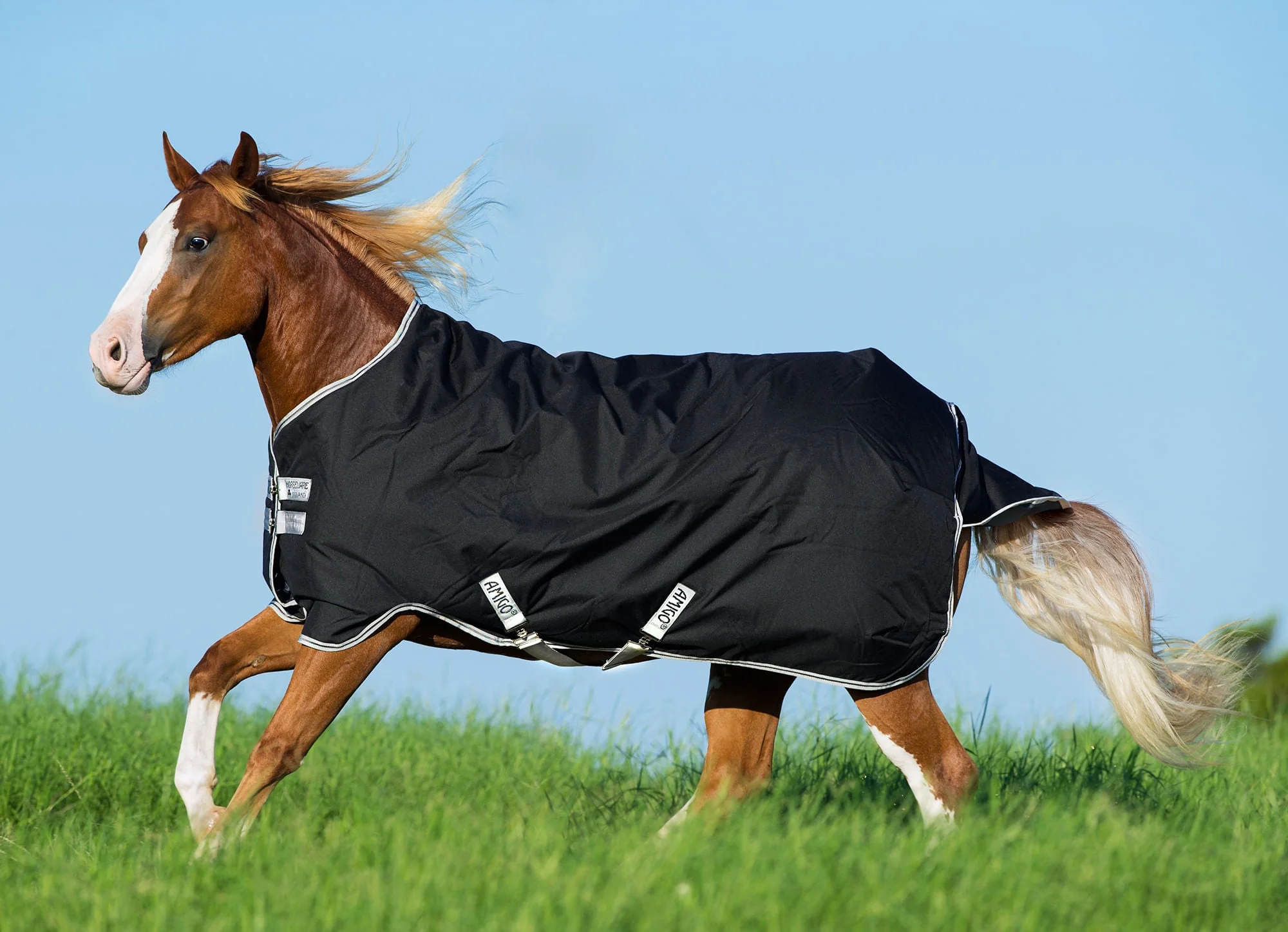 Amigo Stock Medium Weight Horse Turnout Blanket - Pet's Shop