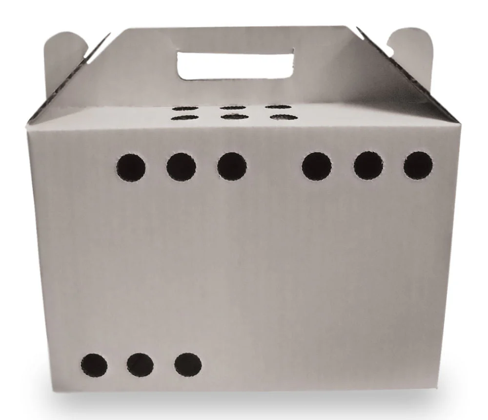 Oasis Disposable Pet Carrier, 12 Count - Pet's Shop