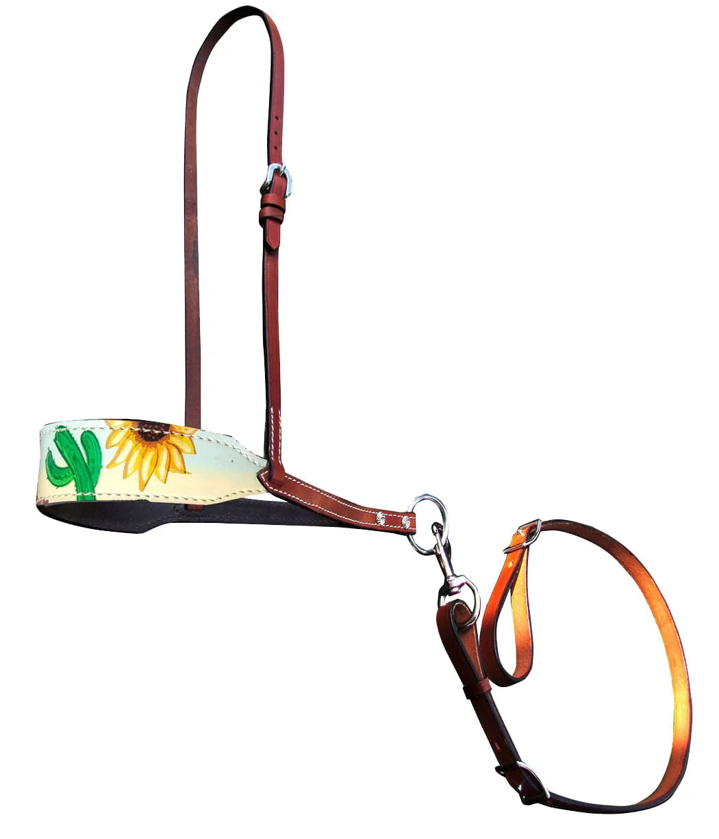 Showman Fashion Nosebands with Tie Down - Pet's Shop