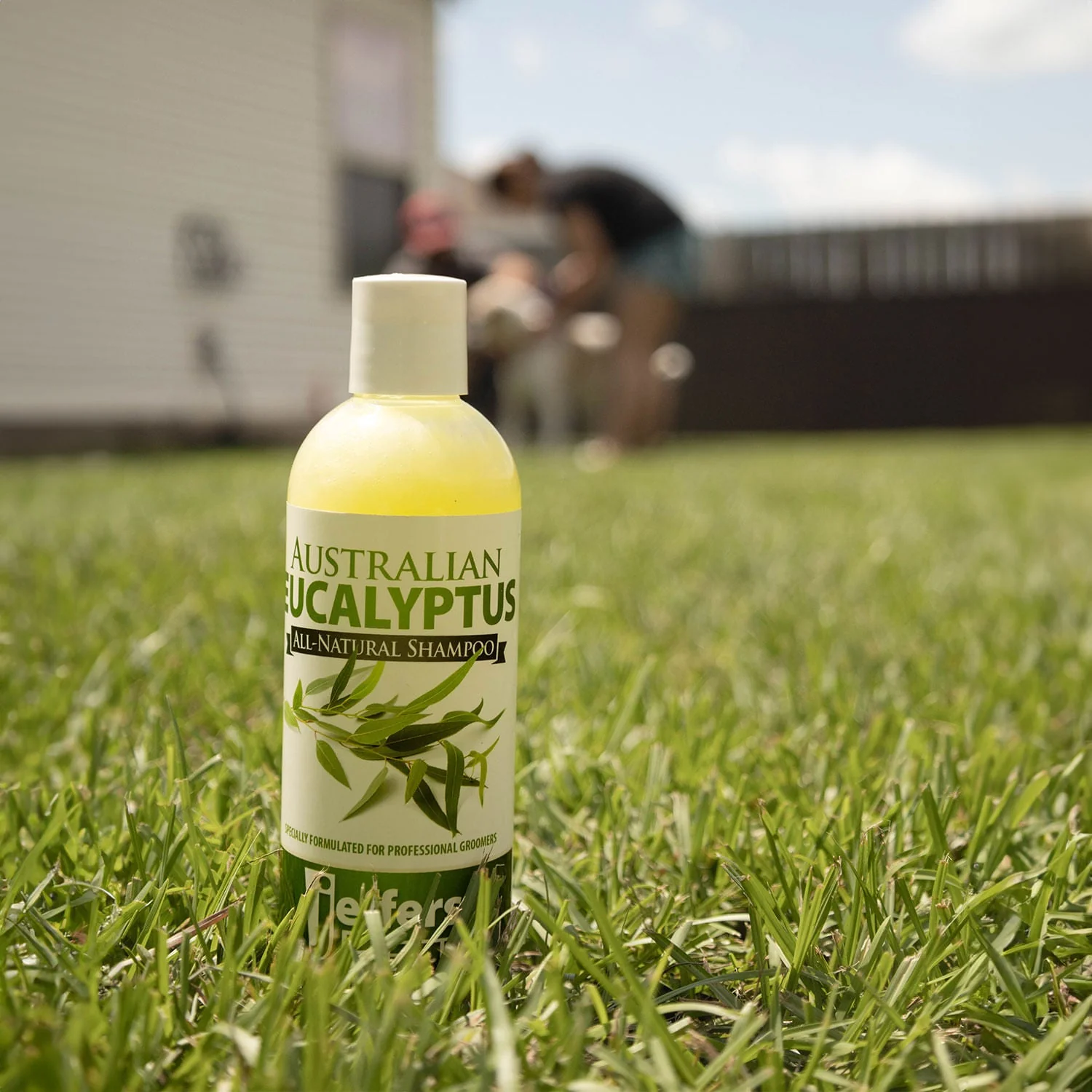 Australian Eucalyptus All-Natural Dog Shampoo - Pet's Shop