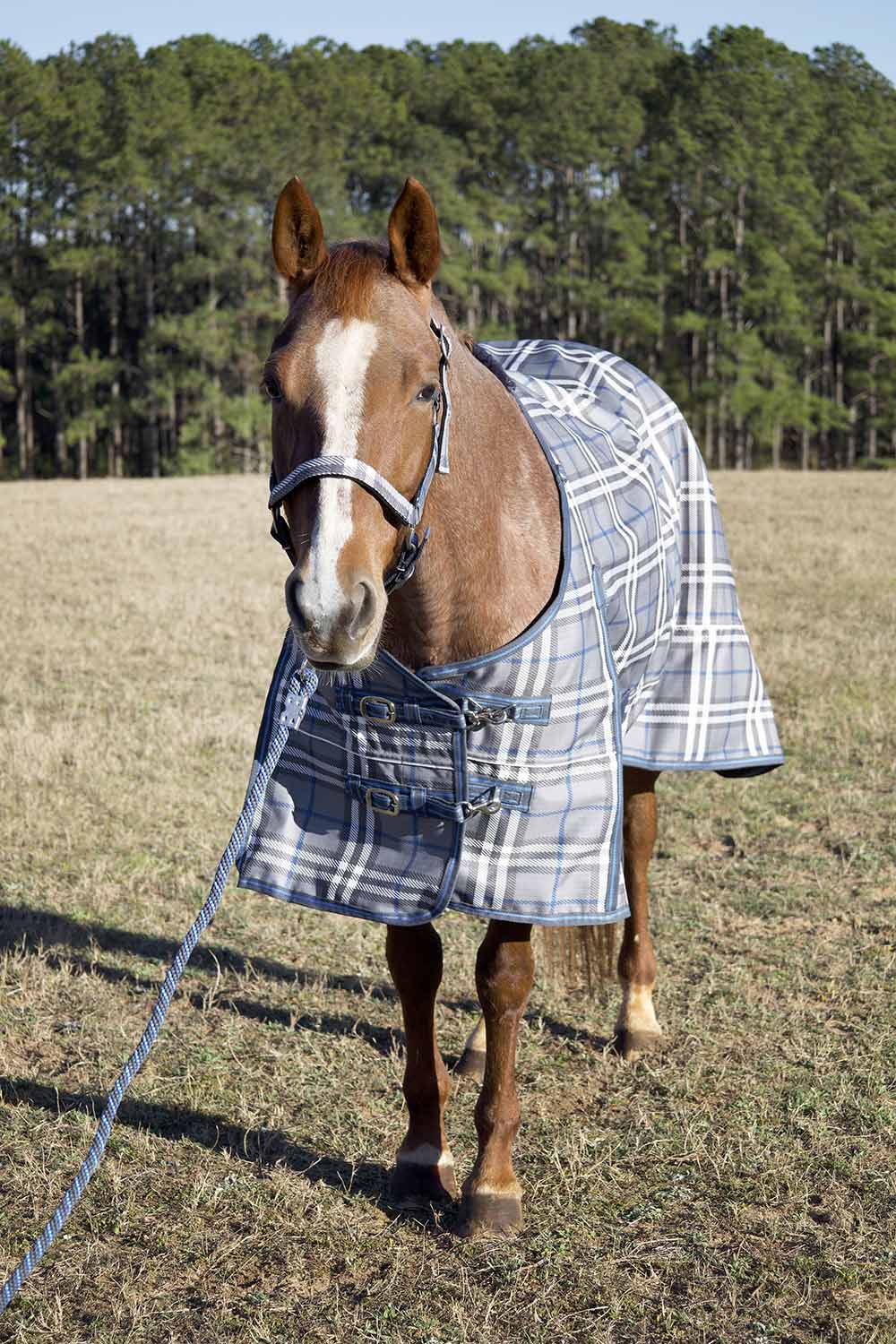 Poplar Head Refuge 1200 Denier Turnout Blanket, 240 Gram, Hamilton Blue & Slate Plaid - Pet's Shop