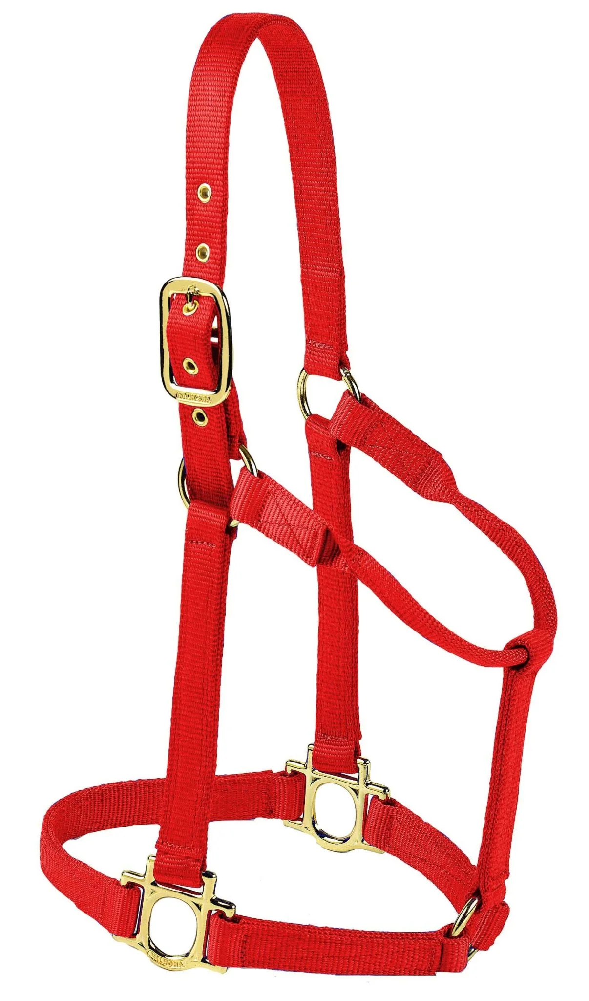 Valhoma Premium Nylon Halter - Pet's Shop