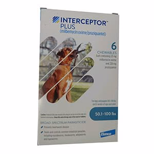 Rx Interceptor Plus Chewable Tablets for Dogs - Pet's Shop