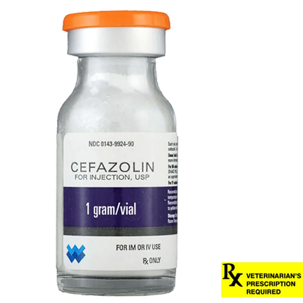Rx Cefazolin, 1 gm Vial - Pet's Shop