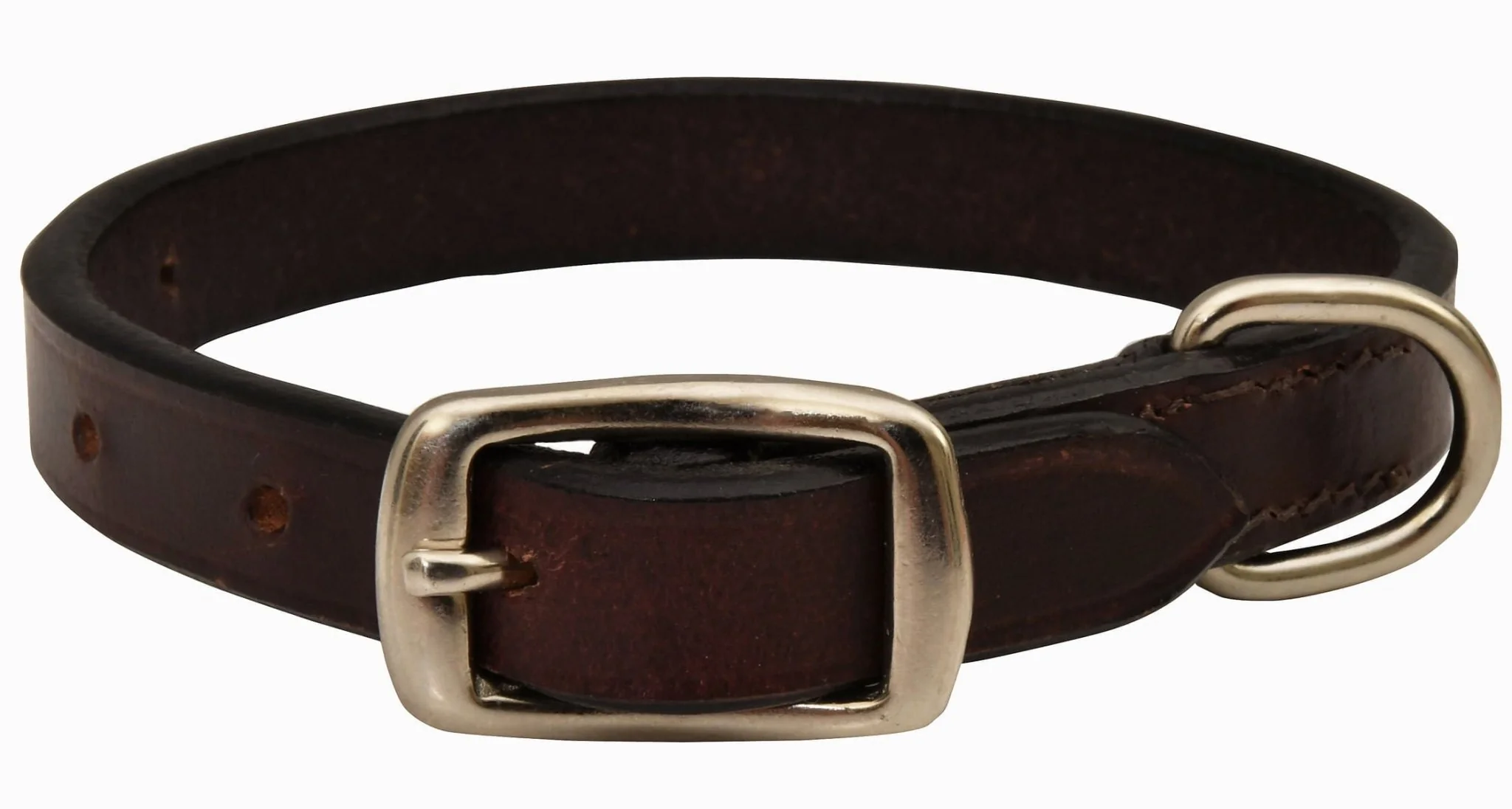 Premium Flat Leather Dog Collars - Pet's Shop