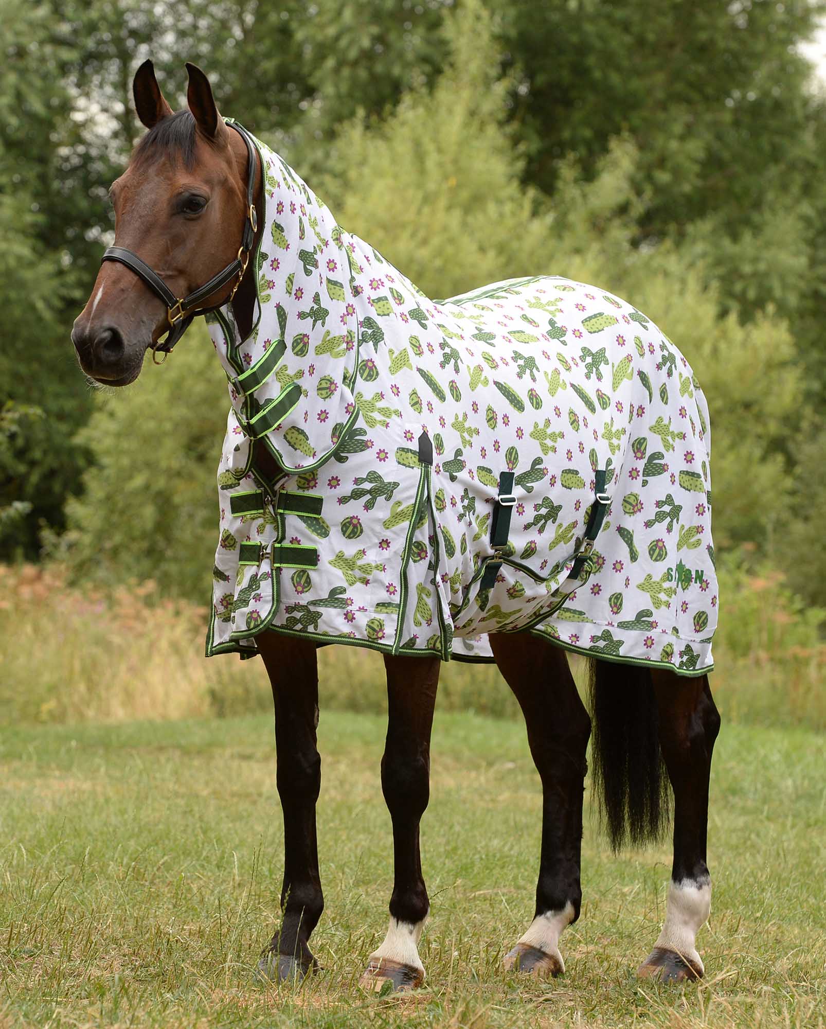 Saxon Combo Neck Horse Fly Sheet with Belly Wrap, Cactus - Pet's Shop