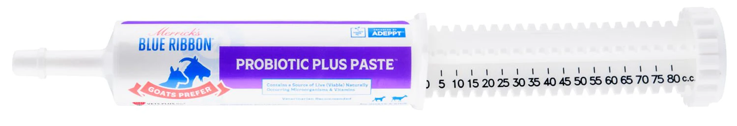 Goats Prefer Probiotic Plus Paste, 80 cc - Pet's Shop