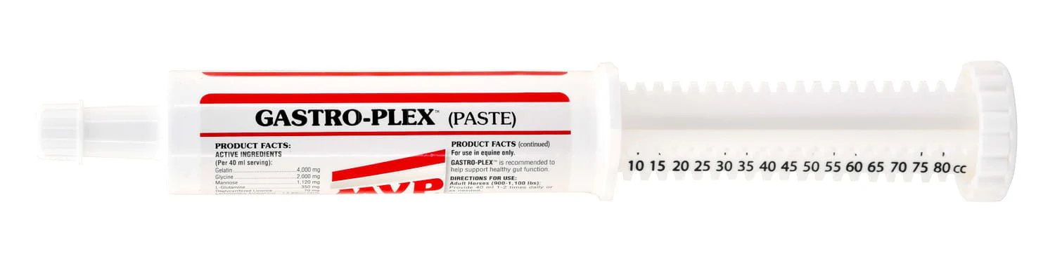 Med-Vet Gastro-Plex Paste - Pet's Shop