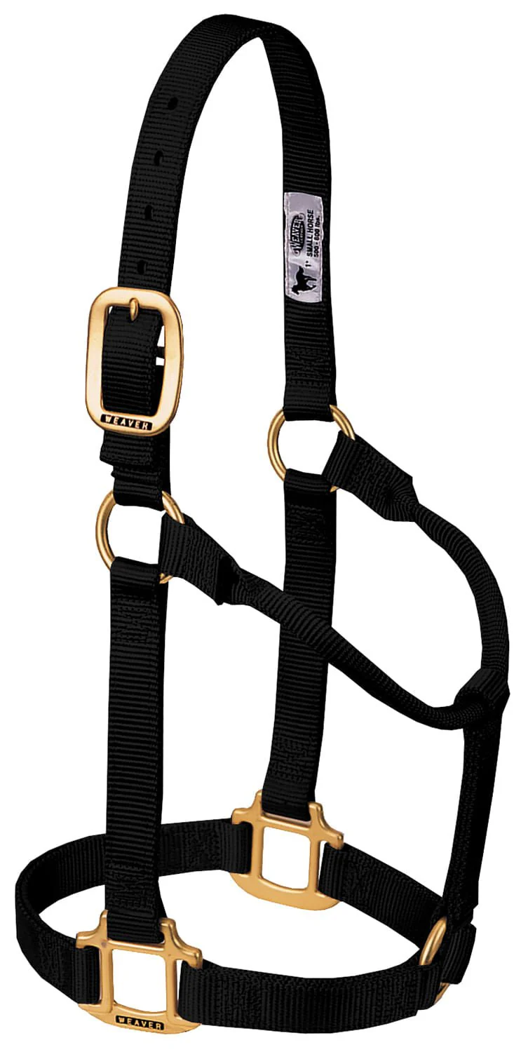 Weaver Original Nylon Horse Halter - Pet's Shop