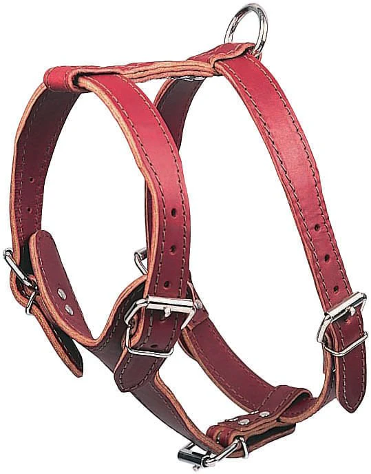 Latigo Leather Medium Harnesses, Plain - Pet's Shop