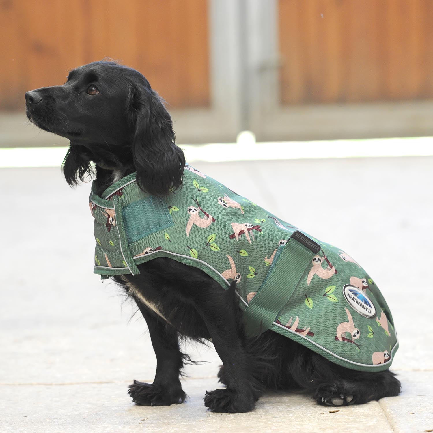 WeatherBeeta ComFITec Premier Free Parka Dog Coat, Sloth Print - Pet's Shop