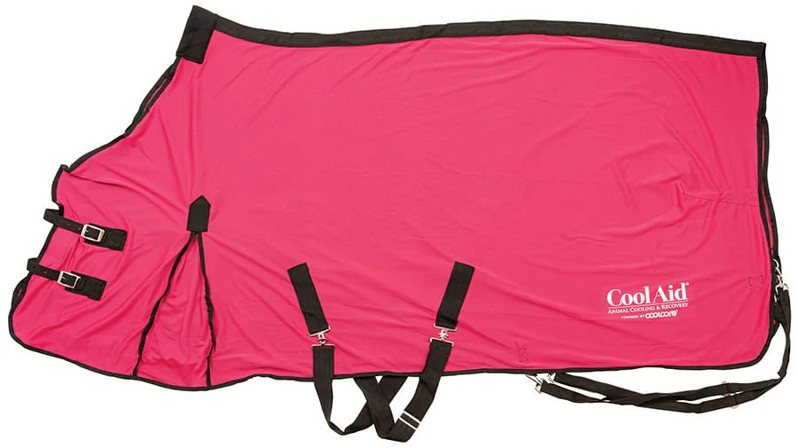 Coolcore Equine Cooling Blanket - Pet's Shop