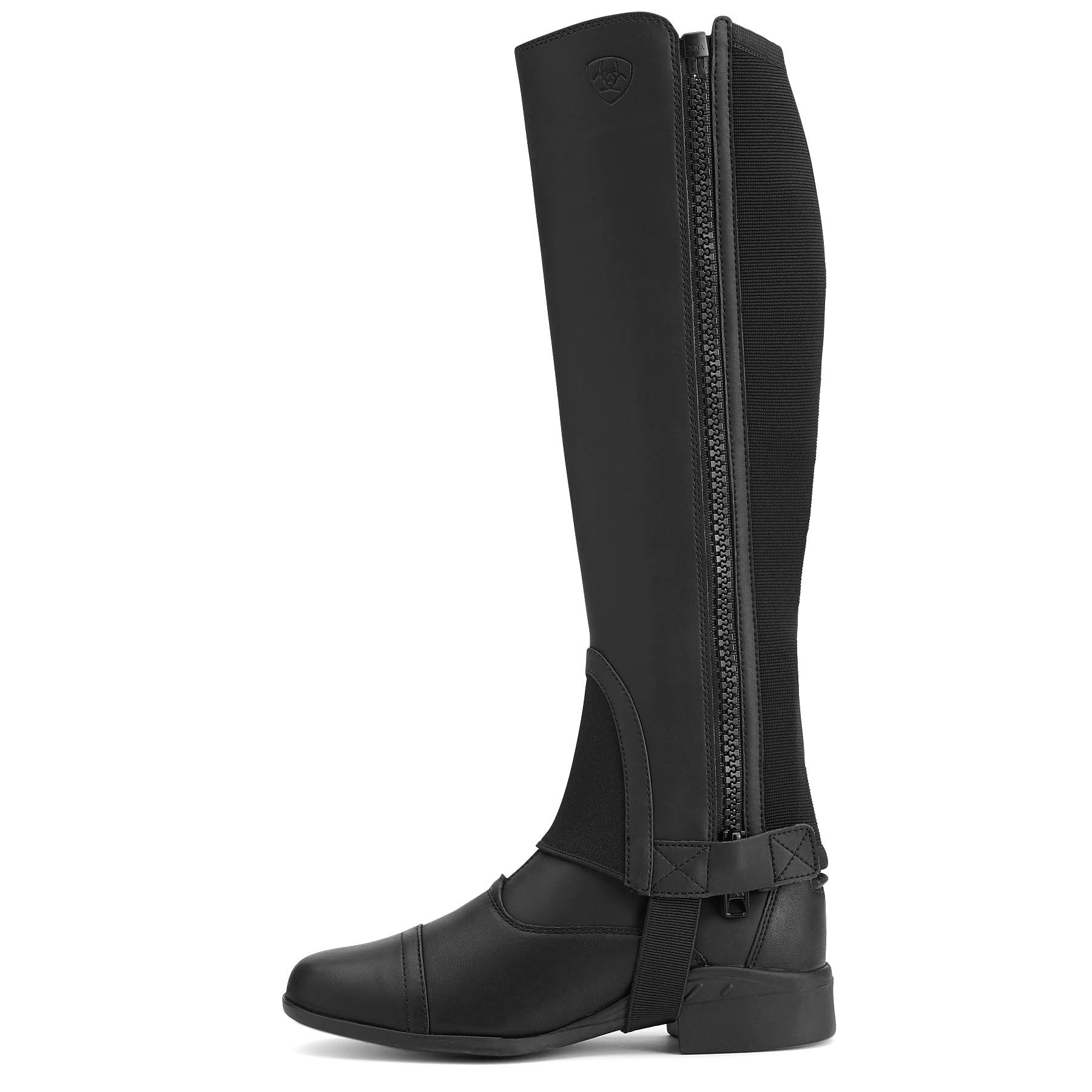 Ariat Scout Half Chap, Adult, Black - Pet's Shop