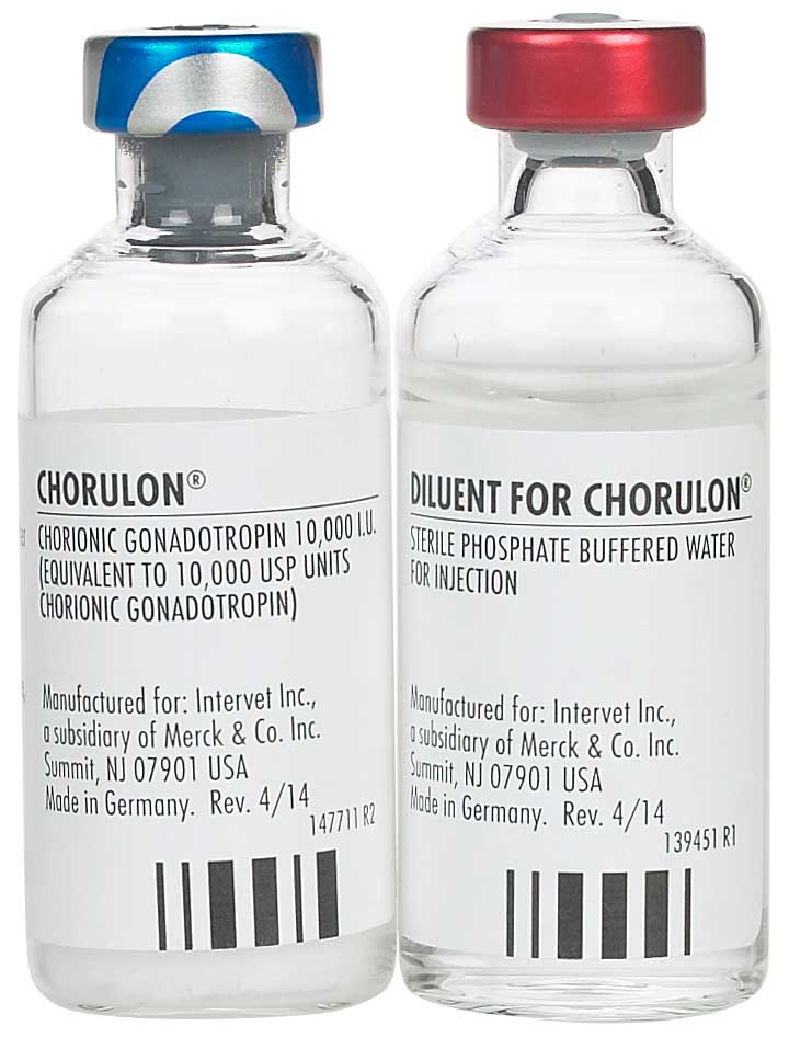 Rx Chorulon HCG for Cattle - Pet's Shop