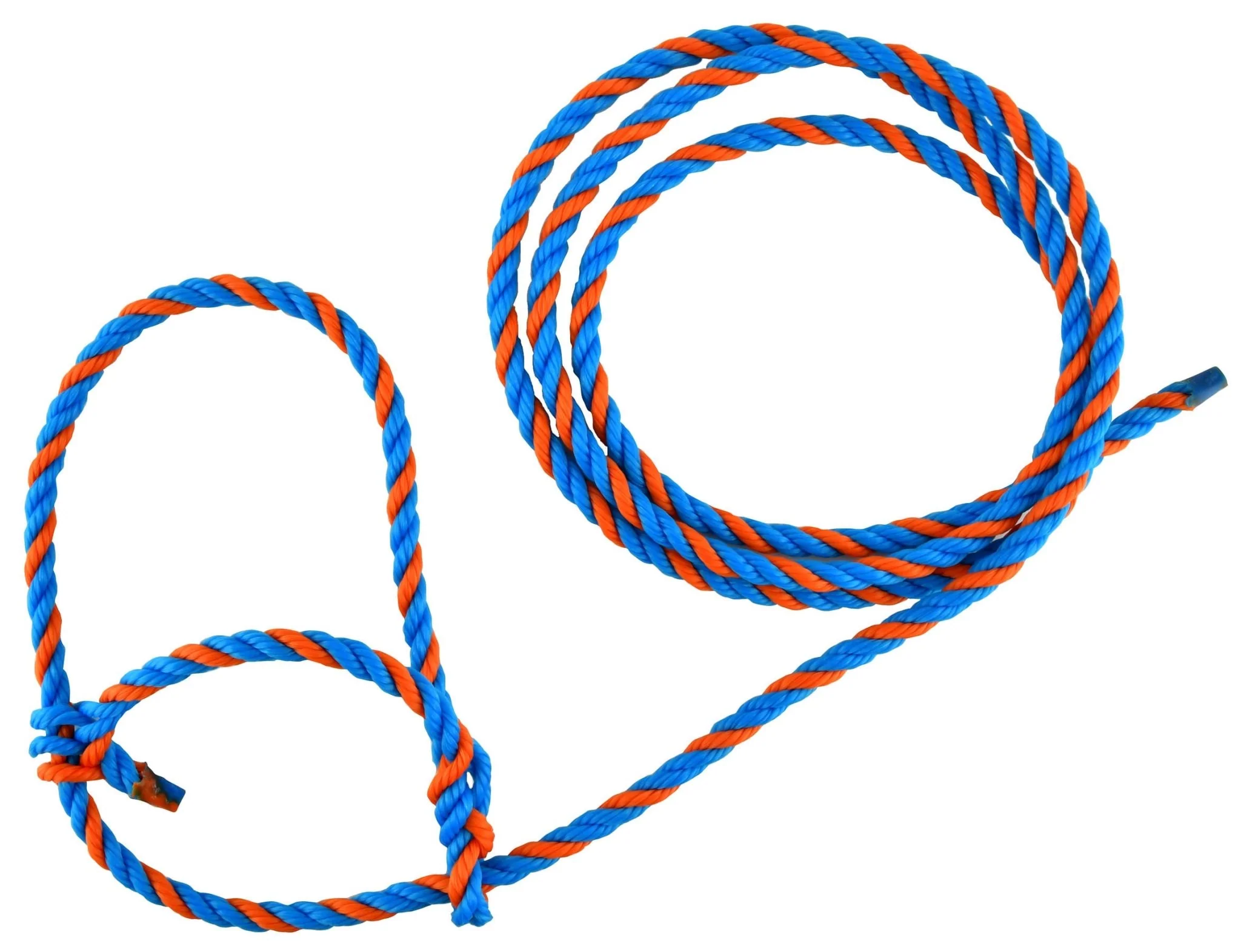 Troyer's Poly Cow Halter - Pet's Shop