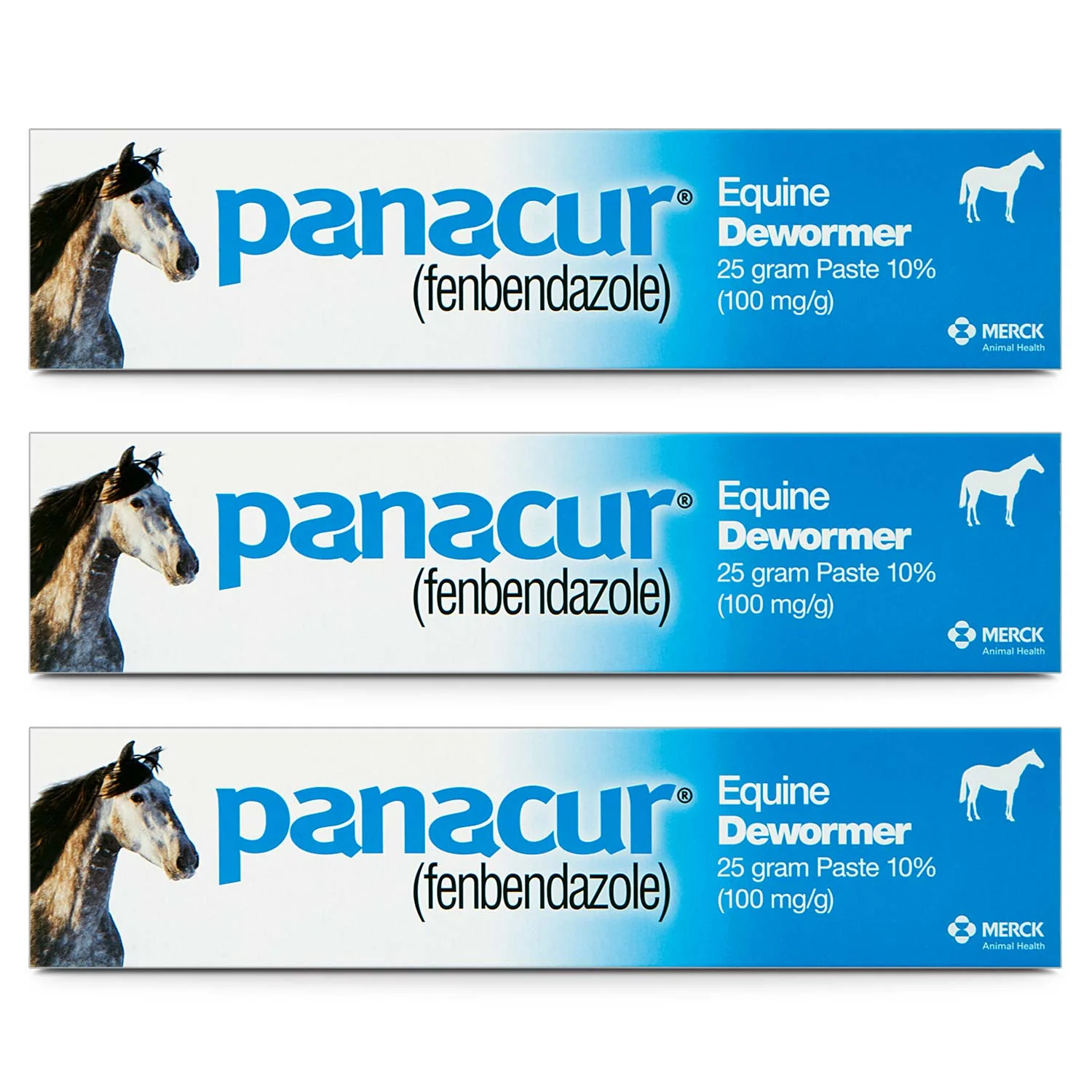 Panacur Equine Fenbendazole Dewormer Paste, 25 g - Pet's Shop
