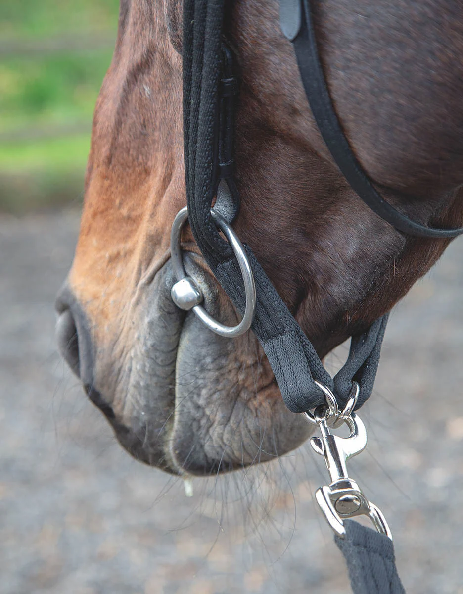 Shires Lunging Adapter - Pet's Shop