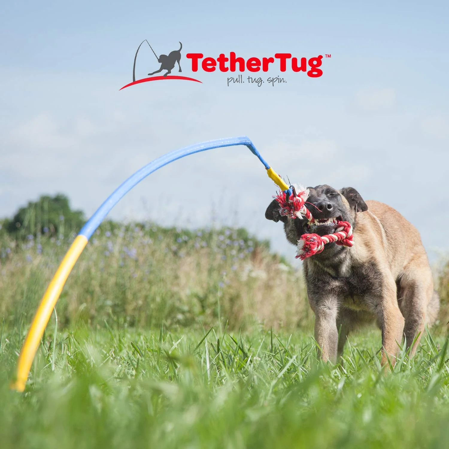 Tether Tug - Pet's Shop