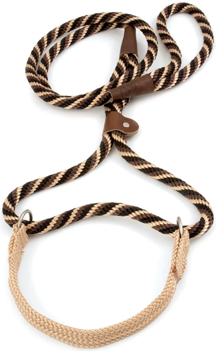 The Mendota Big Dog Walker, 6'L - Pet's Shop