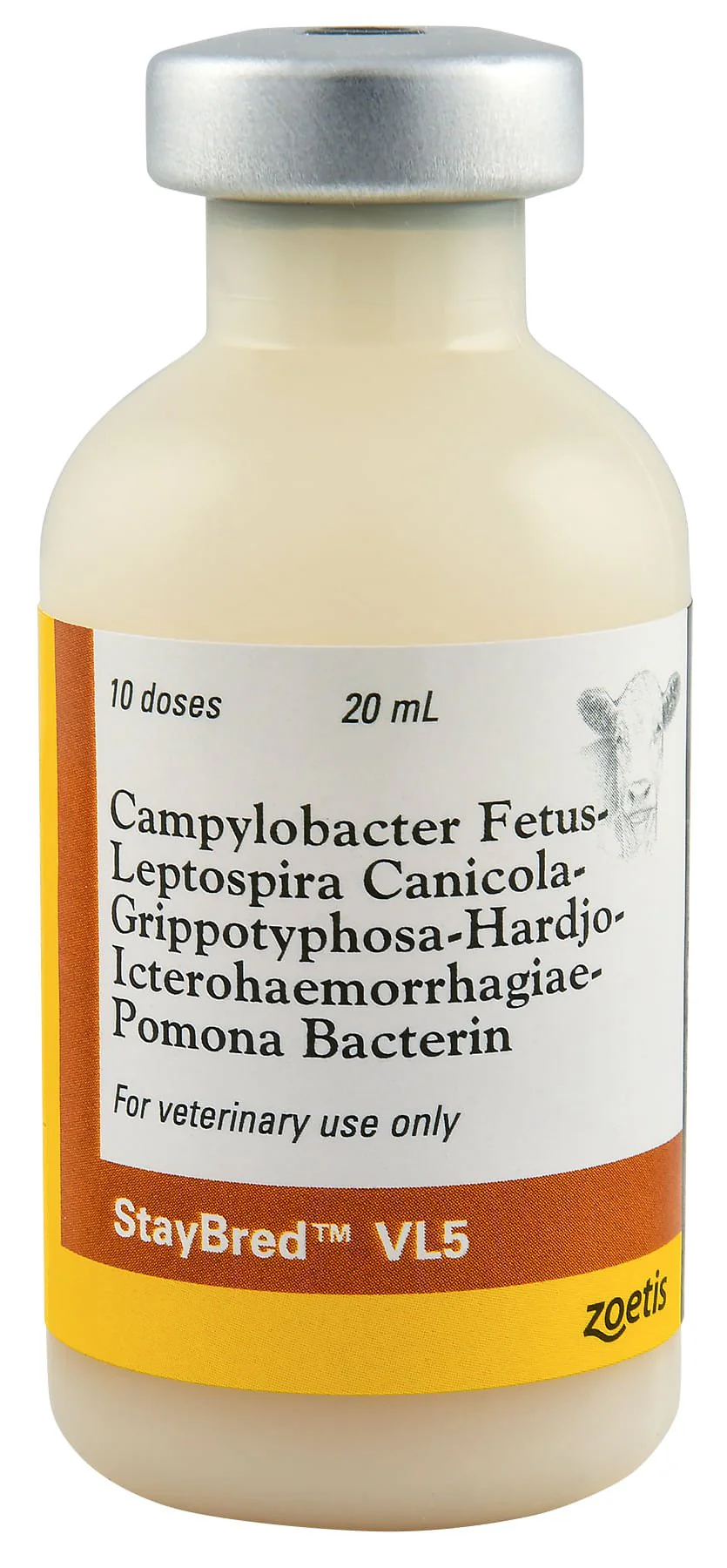 StayBred? VL5 - Pet's Shop