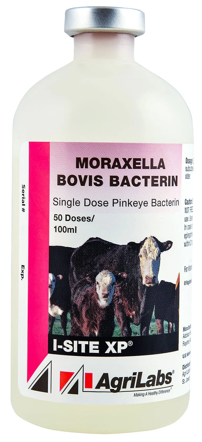 I-SITE XP - Pet's Shop