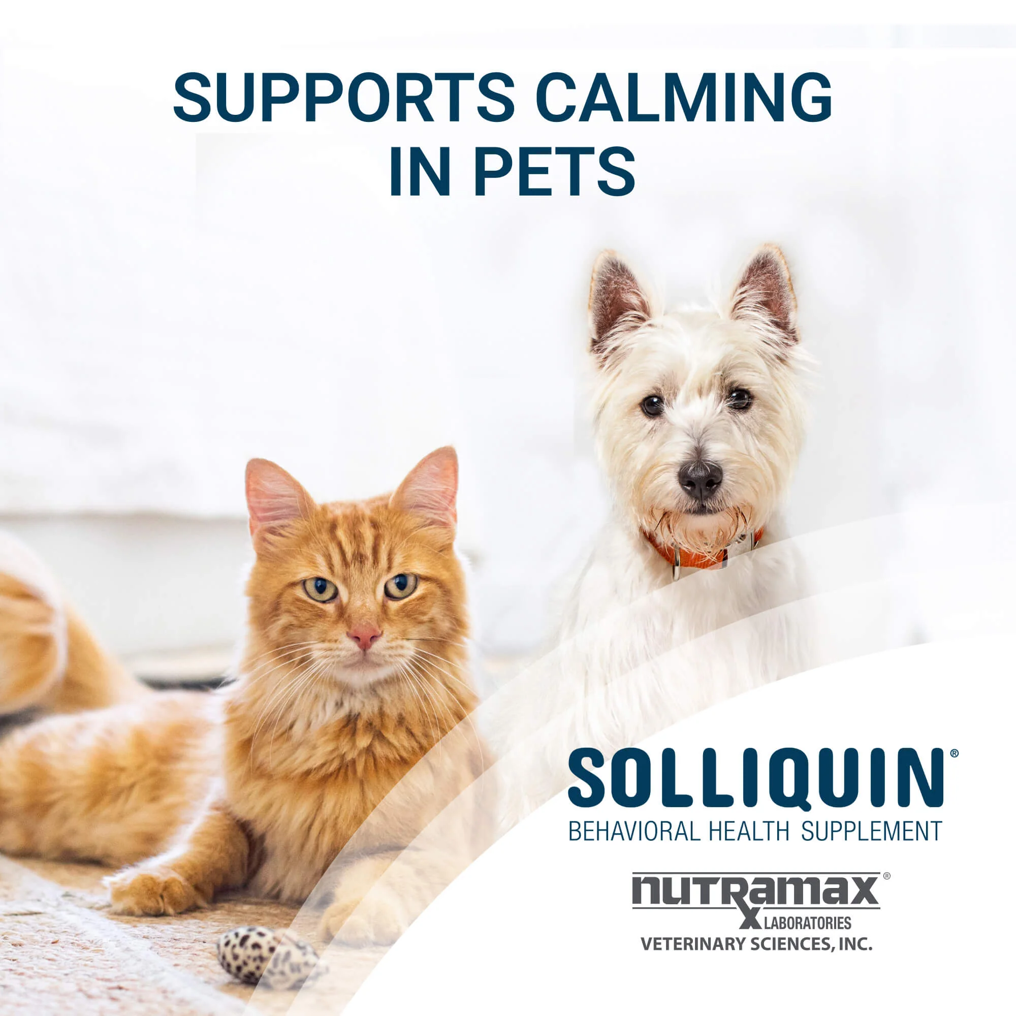 Nutramax Solliquin Soft Chews, 75 ct - Pet's Shop