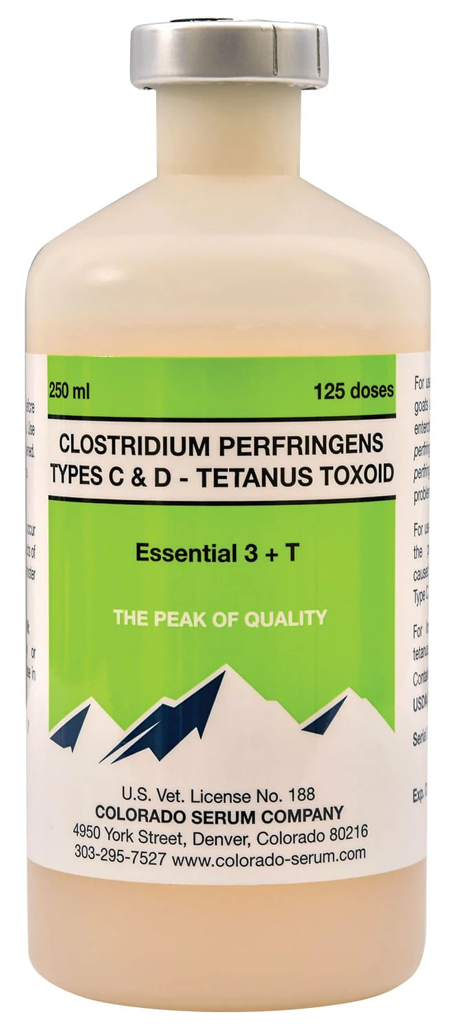 Essential 3 + T - Pet's Shop