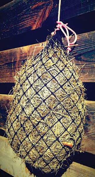 The Small Texas Hay Net Horse Feeder, 1.5 x 1.5 inch holes - Pet's Shop