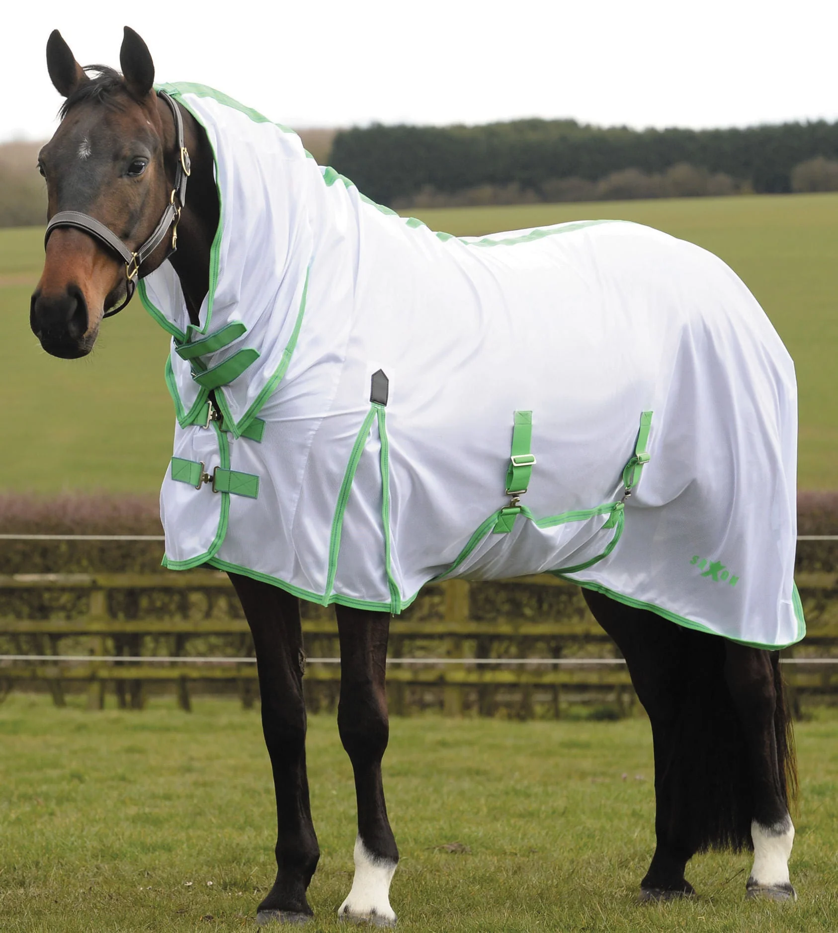Saxon Combo Neck Mesh Horse Fly Sheet - Pet's Shop