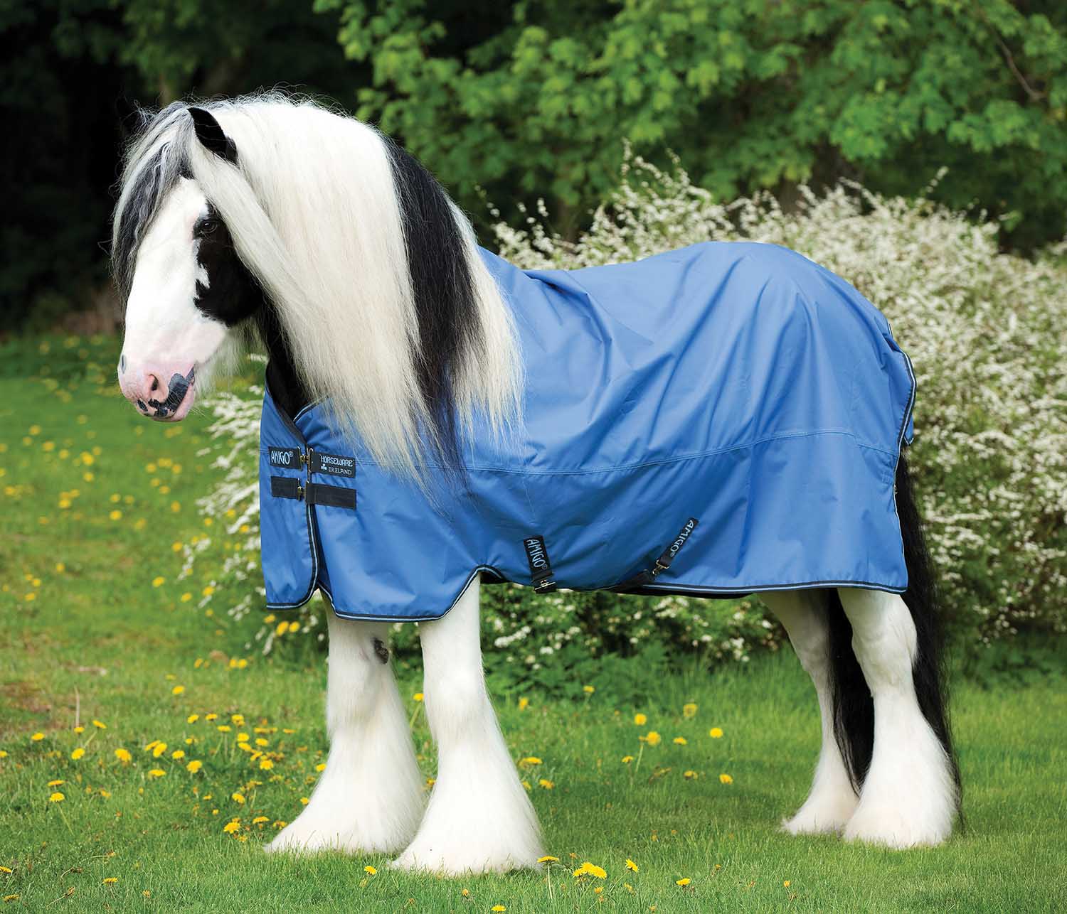 Amigo Hero ACY XL Lite Turnout Blanket, Blue/Gunmetal - Pet's Shop