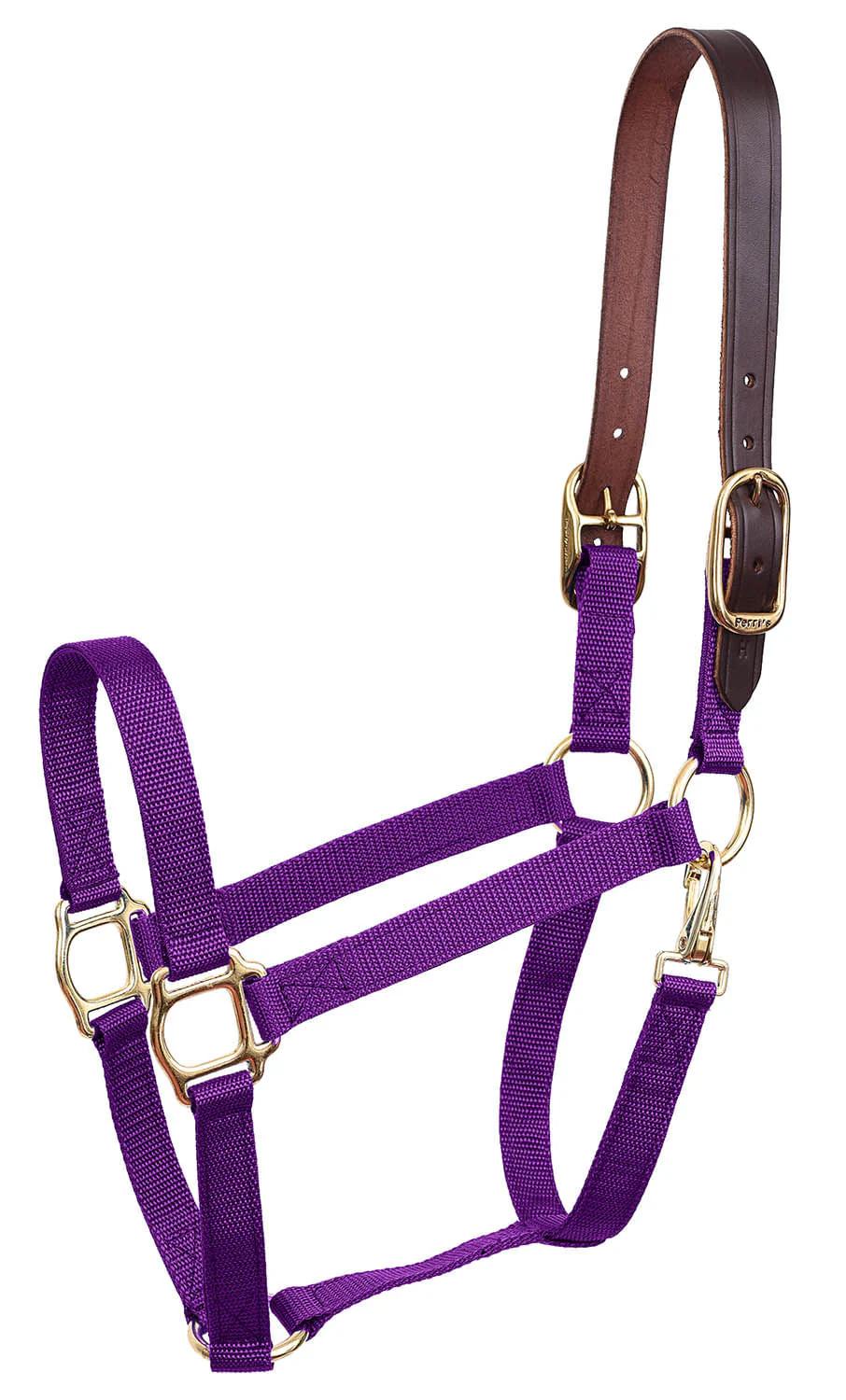 Economy Nylon Safety Horse Halter - Pet's Shop